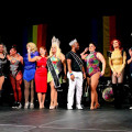 chicago gay il shawn fox gay vid
